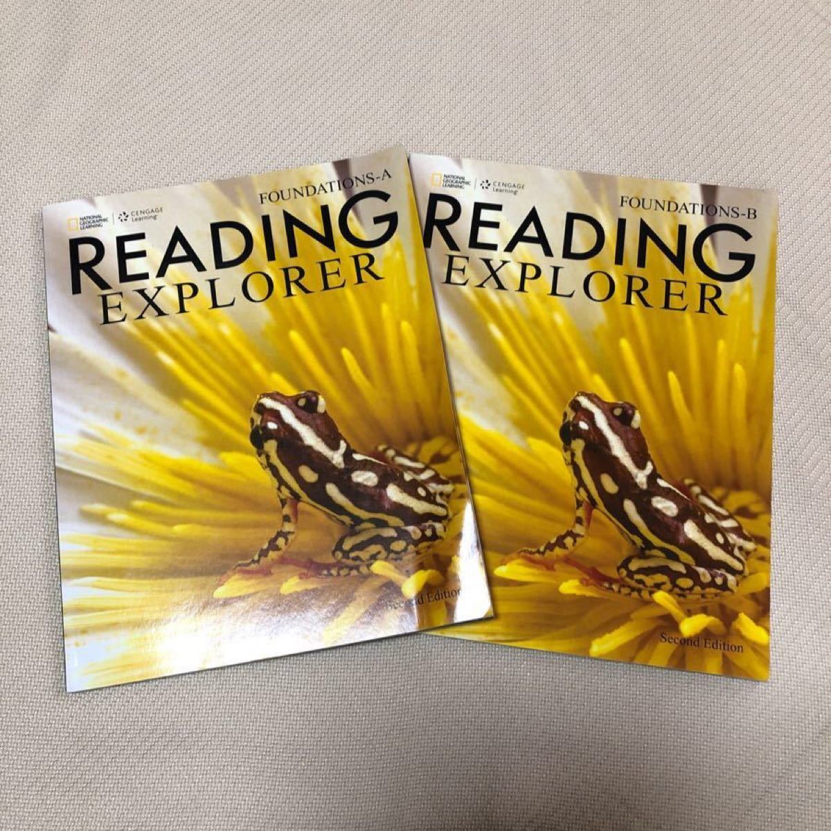 READING EXPLORER FOUNDATIONS-A B