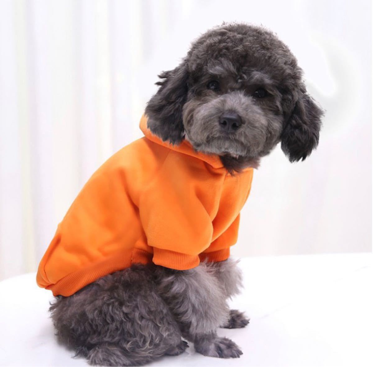 Paypayフリマ ドッグウェア オレンジ 犬用 パーカー Xs スウェット フード付 犬服 韓国