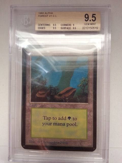 ○MTG○ α アルファ 森(英語 BGS 9.5 GEM MINT) その１-