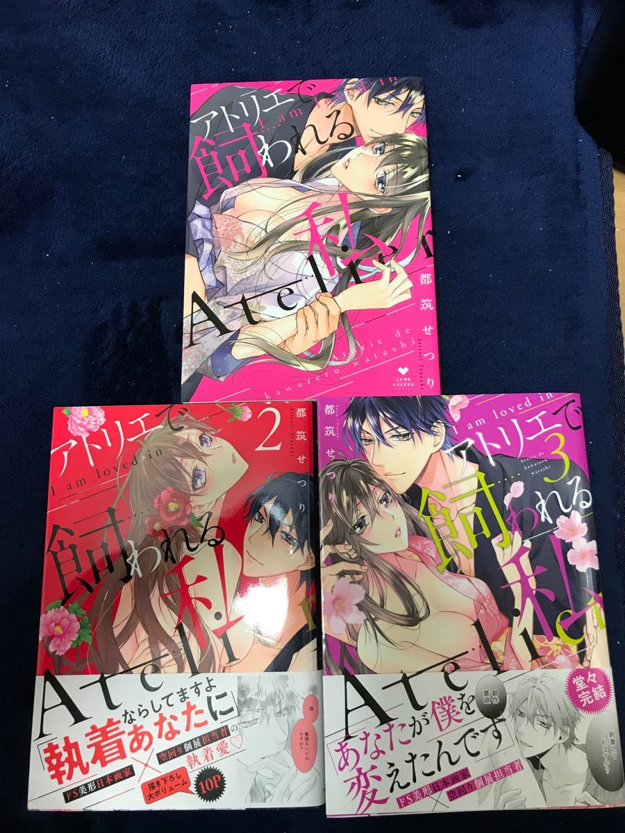 ★アトリエで飼われる私　全3巻【都筑せつり】　特典ペーパー付き 13