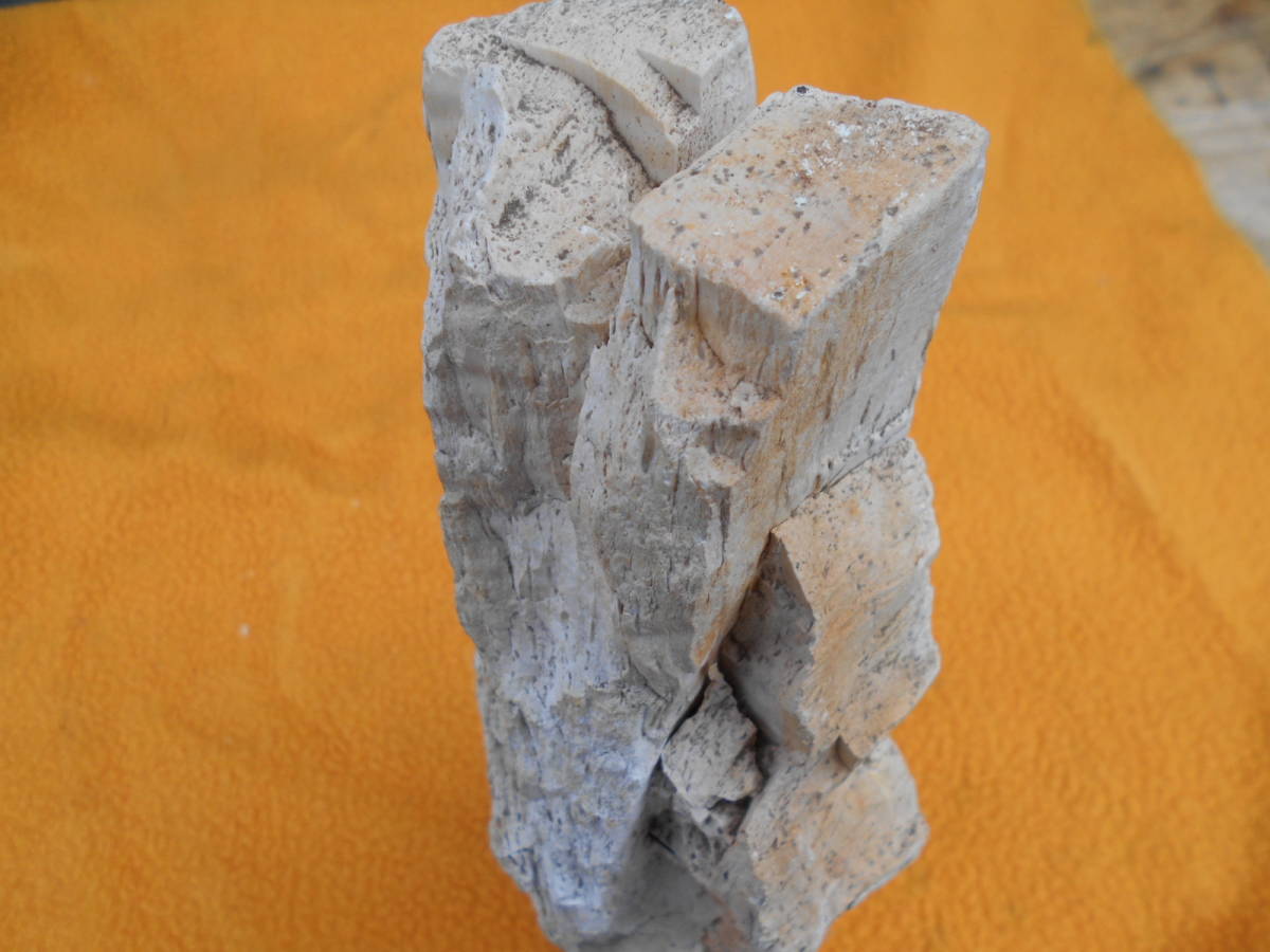 ●秋田産珪化木(木化石)6キロ 白　置物オブジェインテリア原石化石　現状品　M0301たさ_画像8