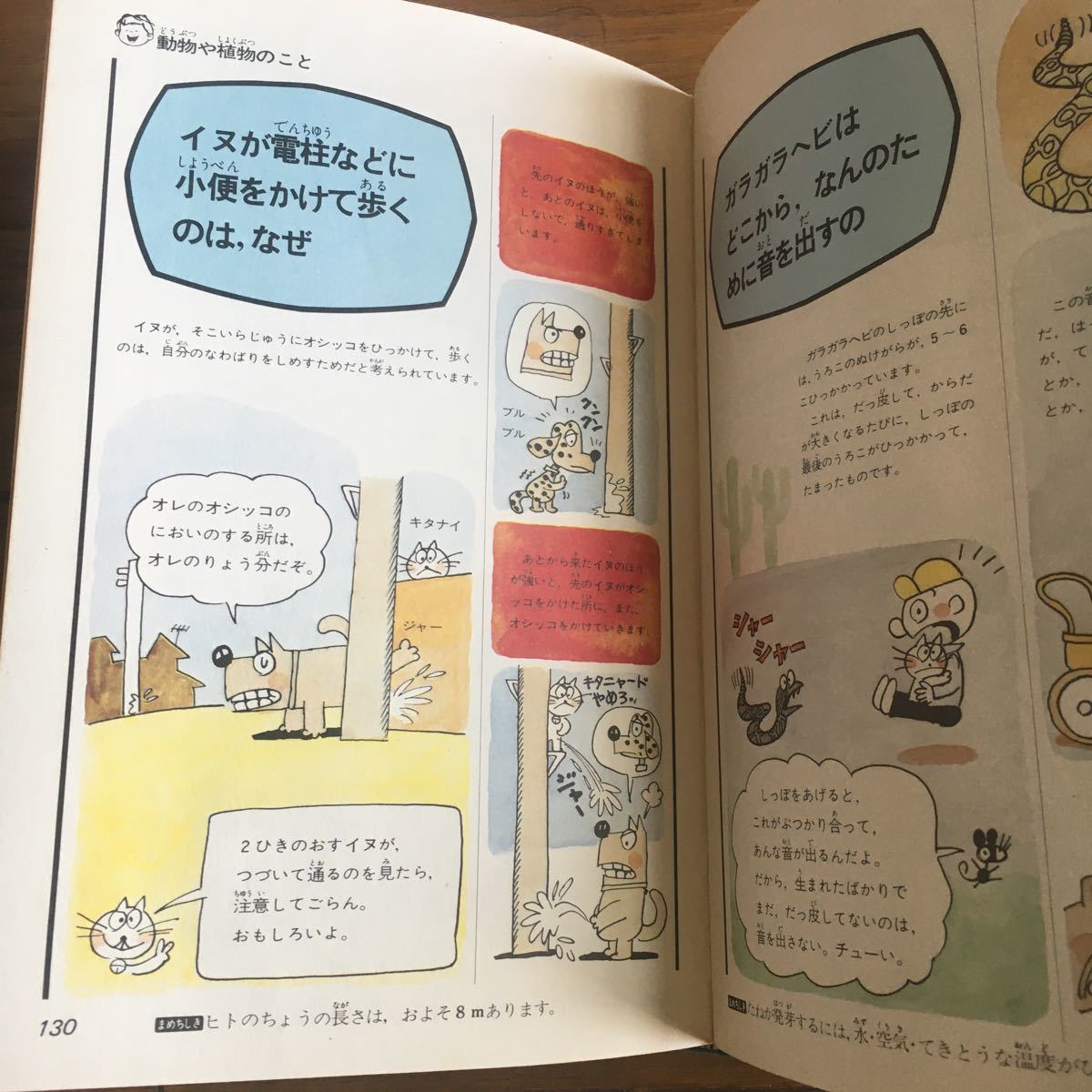 Paypayフリマ コロ助の科学質問箱 Paypayフリマ コロ助の科学質問箱