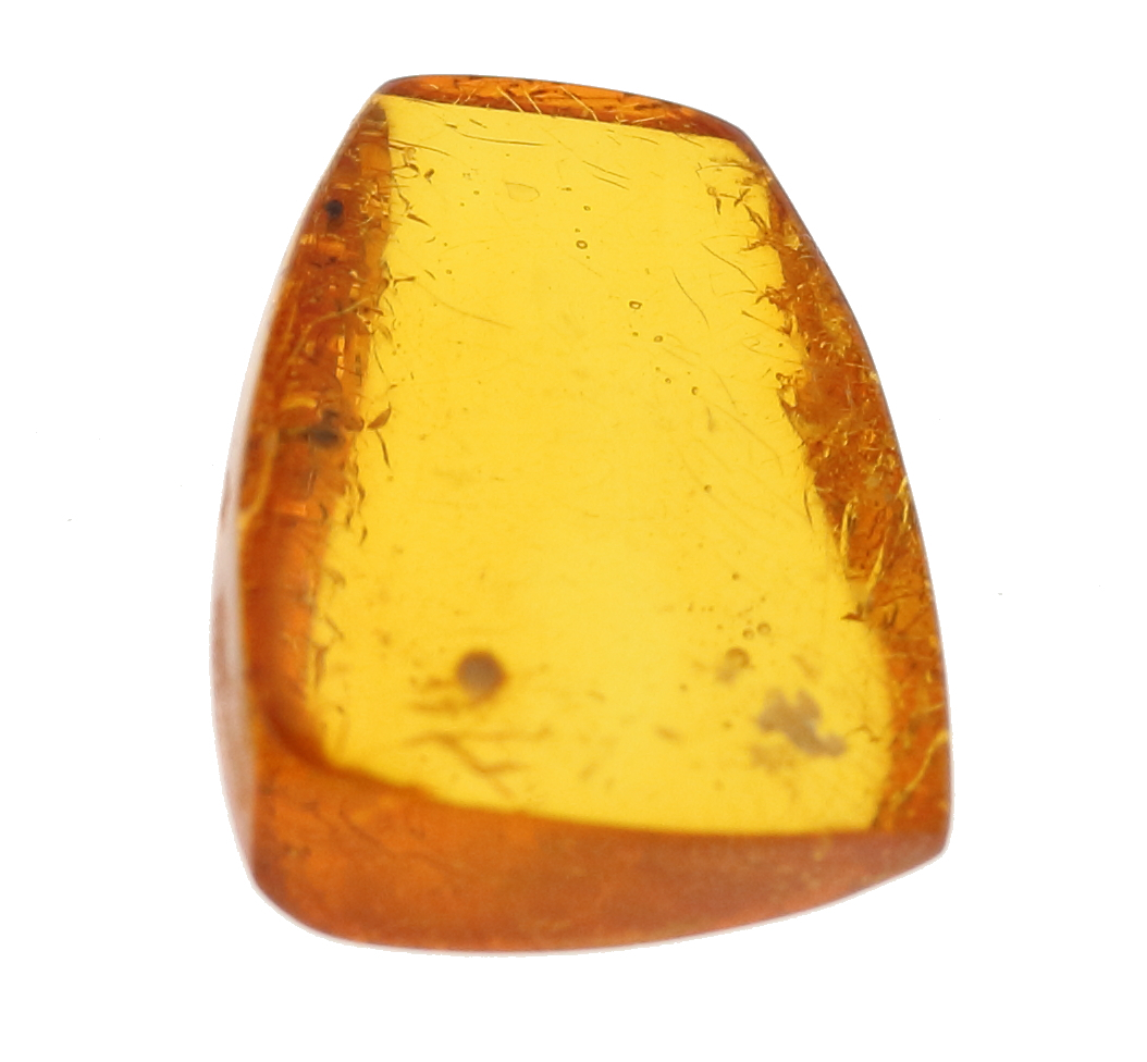 . another document natural insect entering amber loose 2.541ct HN-6128