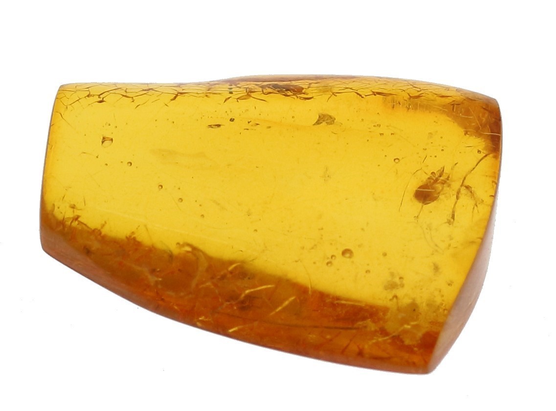 . another document natural insect entering amber loose 2.541ct HN-6128