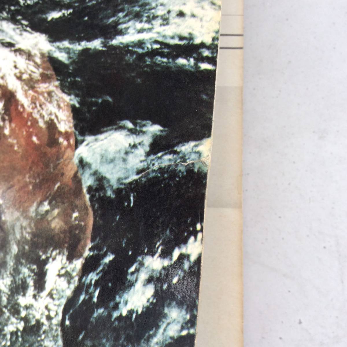 The Next Whole Earth Catalog(ホールアースカタログ The Next Whole Earth Catalog(ホールアースカタログ