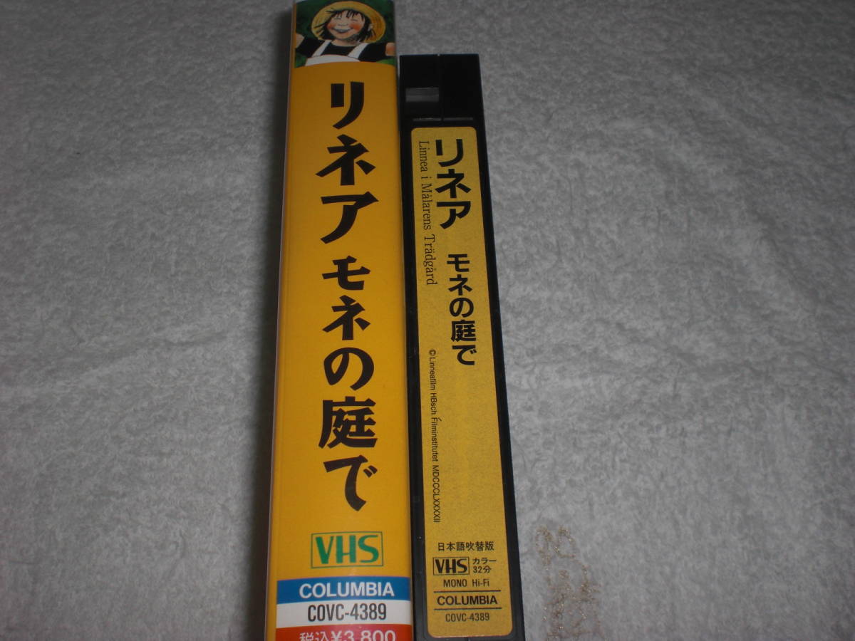 VHS　リネア モネの庭で　中古品　林原めぐみ_画像5