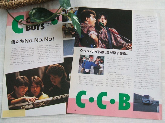 Yahoo!オークション - レア 39年前 レトロ C-C-B/CCB/ココナッツ Yahoo!オークション - レア 39年前 レトロ C-C-B/CCB/ココナッツ