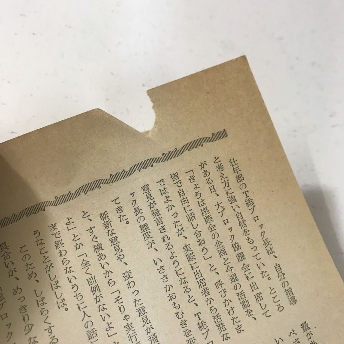 ◎計4冊 前進 創価学会 幹部用 指導集 幹部指導用 日蓮正宗 昭和45年8月 昭和52年 前進委員会 1970 NO.123 1977 NO.201 205 209_画像6