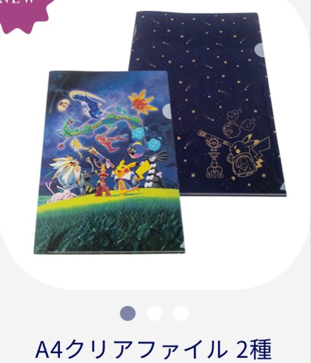 ポケモン天文台 図録 ポストカード クリアファイル 巾着 グッズ 12点