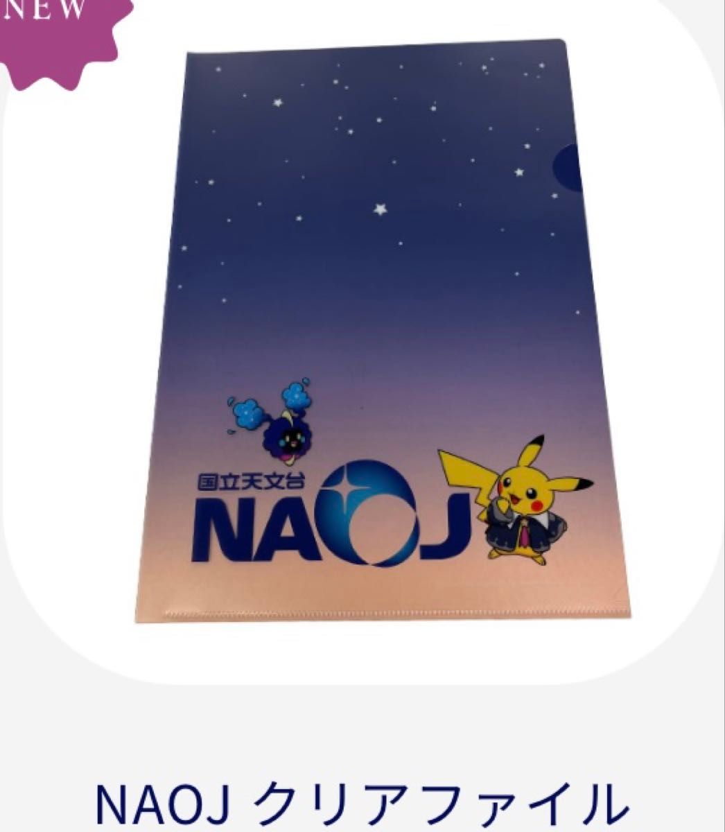 ポケモン天文台 図録 ポストカード クリアファイル 巾着 グッズ 12点