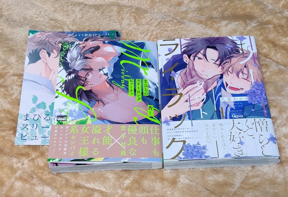 「まひるのスリーピングビューティ」「ノーダウトライラック」2冊セット