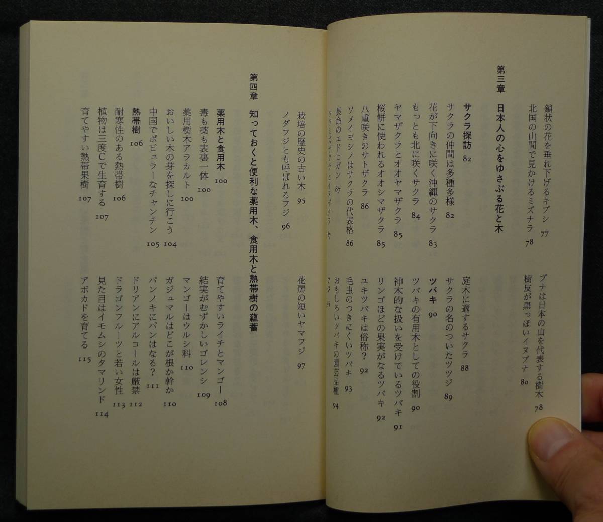 【超希少,新品,未読保管品】散歩が楽しくなる樹の蘊蓄 とっておき樹木の雑学 講談社＋α新書 著：NHK「趣味の園芸」講師 船越亮二 講談社_画像8