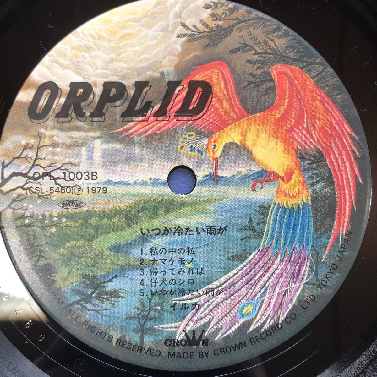 イルカ いつか冷たい雨が 帯付LP 昭和歌謡 フォーク レコード 5点以上落札で送料無料D_画像4