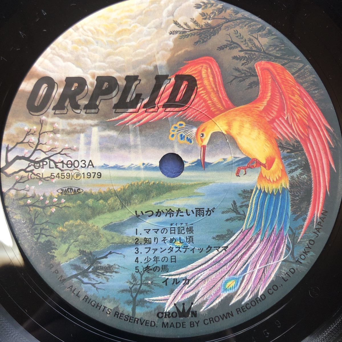 イルカ いつか冷たい雨が 帯付LP 昭和歌謡 フォーク レコード 5点以上落札で送料無料D_画像3