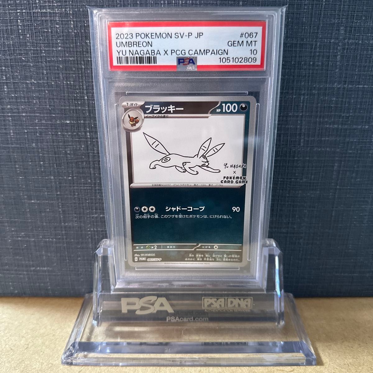 PSA10 ブラッキー 長場雄 067/SV-P プロモ NAGABA YU ポケモンカード