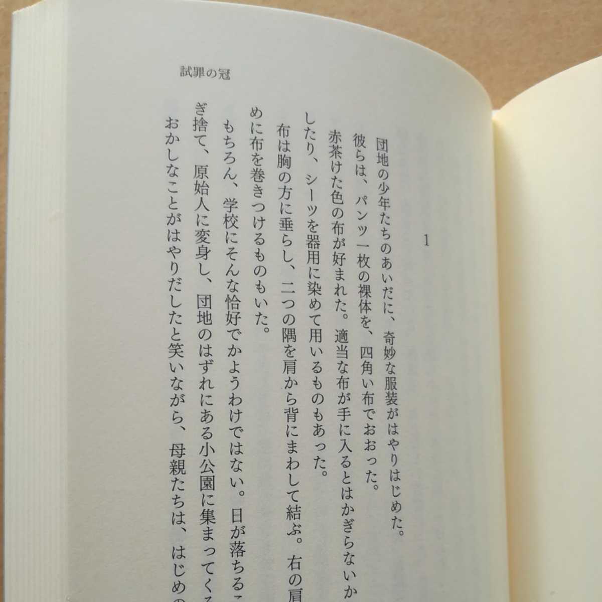 初版/ペガサスの挽歌　皆川博子　烏有書林　2012　シリーズ　日本語の醍醐味 4 七北数人／解説　短編集　初期児童文学_画像10