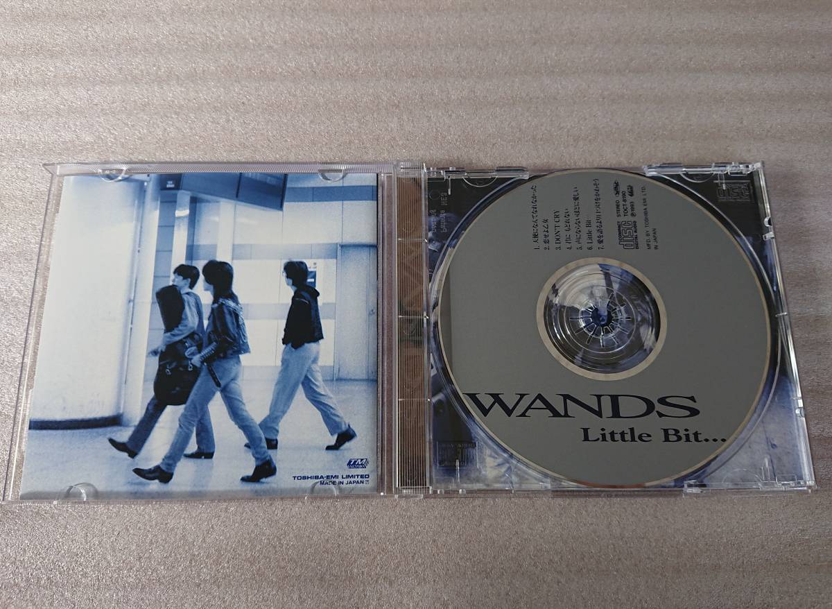 WANDS CD Little Bit ワンズ リトル ビット_画像3