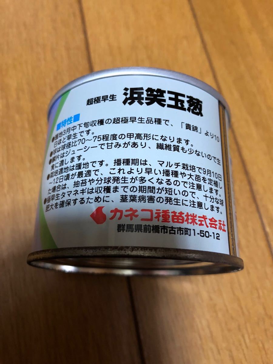 ヤフオク カネコ種苗 超極早生 浜笑玉葱 2 ヤフオク カネコ種苗 超極早生 浜笑玉葱 2