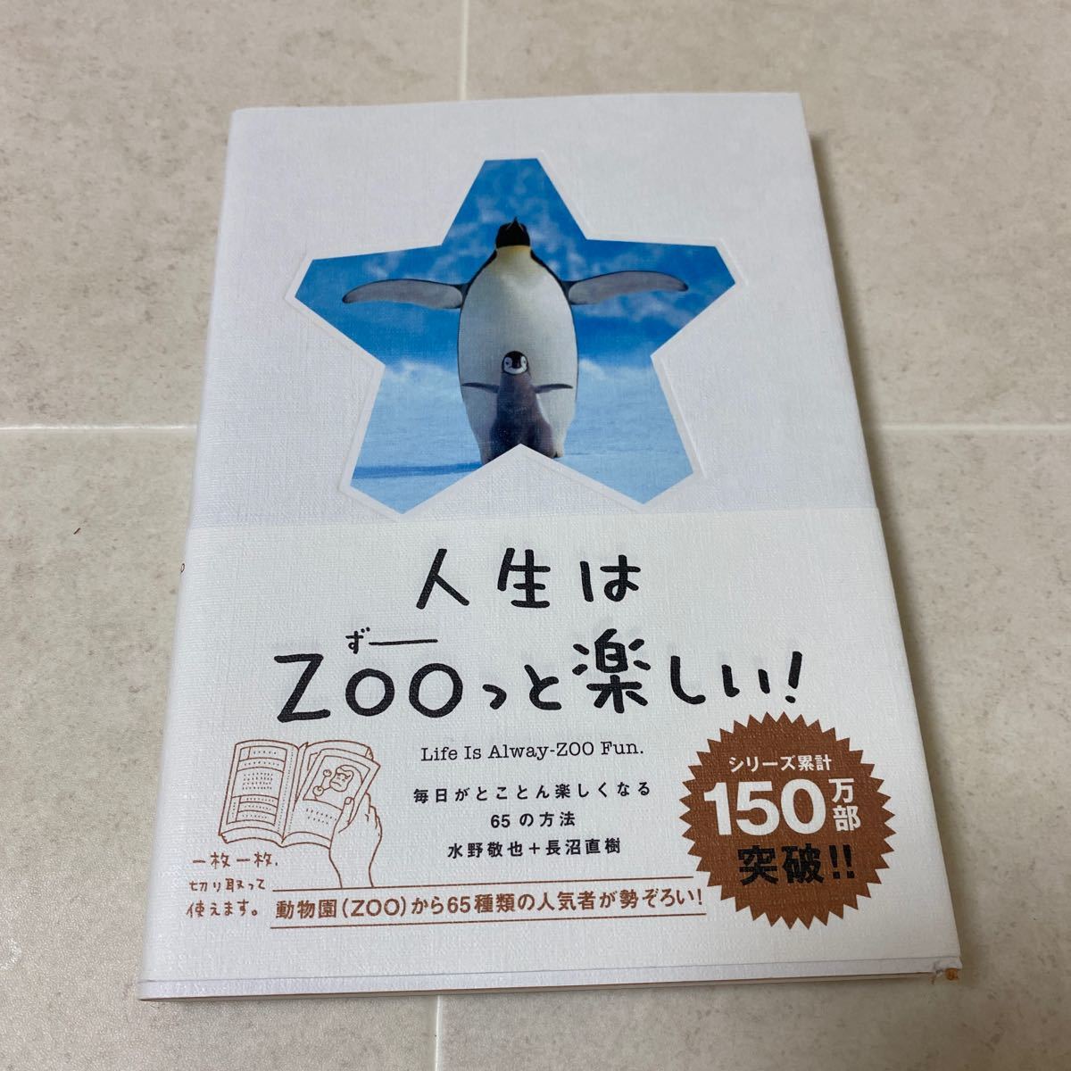 ヤフオク 54 人生はzooずーっと楽しい 毎日がとことん楽し