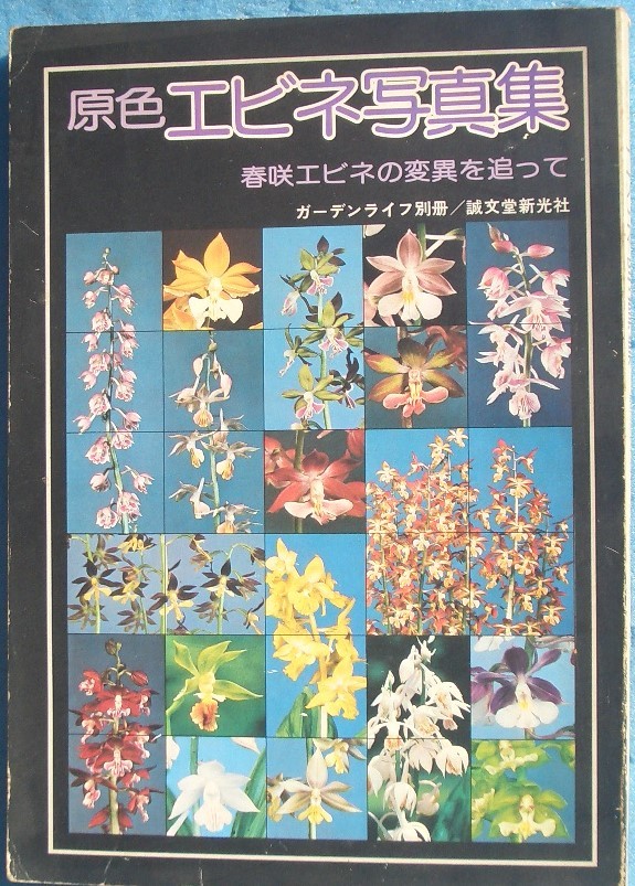 ★★原色エビネ写真集 春咲エビネの変異を追って ガーデンライフ別冊 誠文堂新光社_画像1