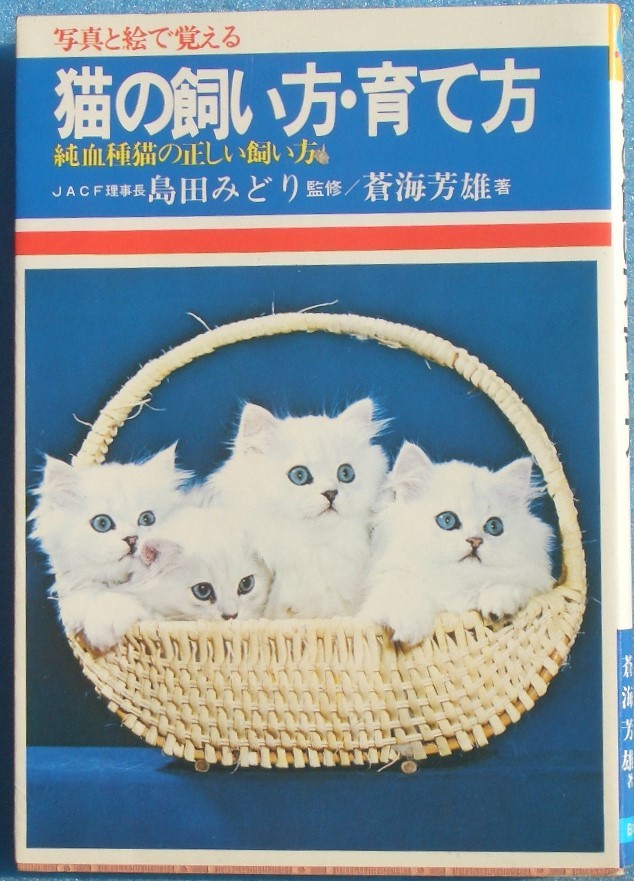 ヤフオク ネコの飼い方 育て方 純血種猫の正しい飼い方 ヤフオク ネコの飼い方 育て方 純血種猫の正しい飼い方