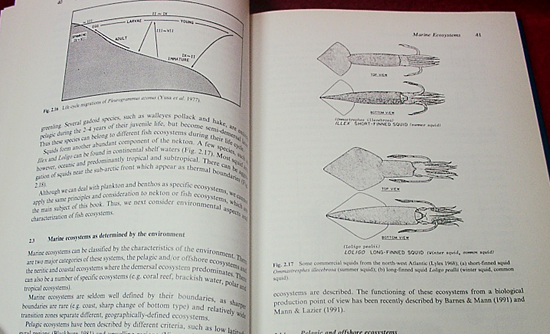 ☆Exploitable Marine Ecosystems:Their Behaviour &Management/ハードカバー洋書(英文) ☆ - 生物学 ☆Exploitable Marine Ecosystems:Their Behaviour &Management/ハードカバー洋書(英文) ☆ - 生物学