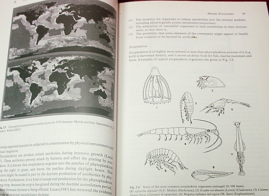 ☆Exploitable Marine Ecosystems:Their Behaviour &Management/ハードカバー洋書(英文) ☆ - 生物学 ☆Exploitable Marine Ecosystems:Their Behaviour &Management/ハードカバー洋書(英文) ☆ - 生物学