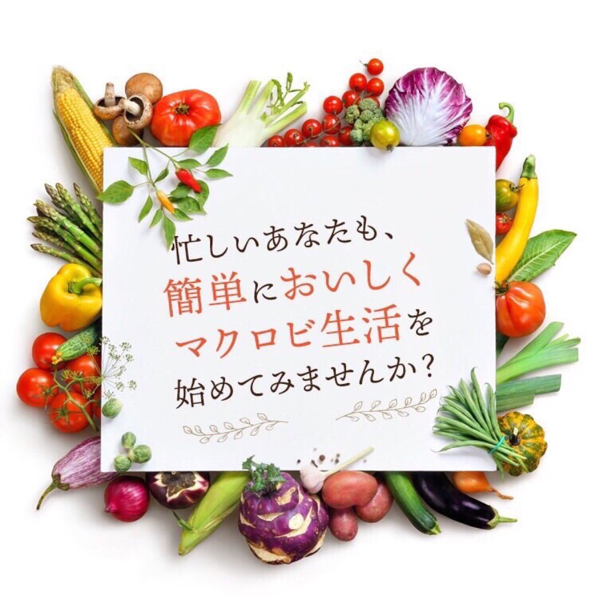 植物発酵原液「天陽」酵素 4箱 マクロビ酵素 | www.norterminal.no