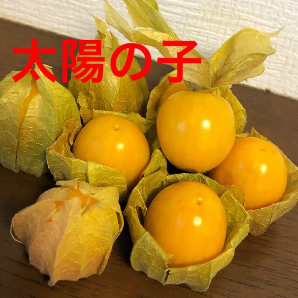Paypayフリマ 食用ホオズキ 太陽の子 種 60粒 Paypayフリマ 食用ホオズキ 太陽の子 種 60粒