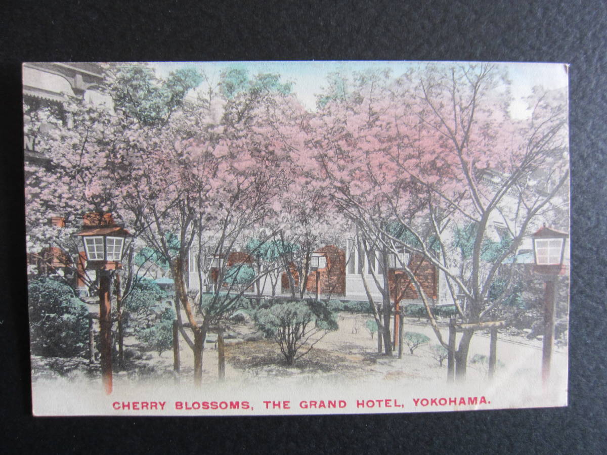 横濱■グランドホテル■桜■CHERRY BLOSSOMS■大正期■1910's■横濱繪葉書_画像1