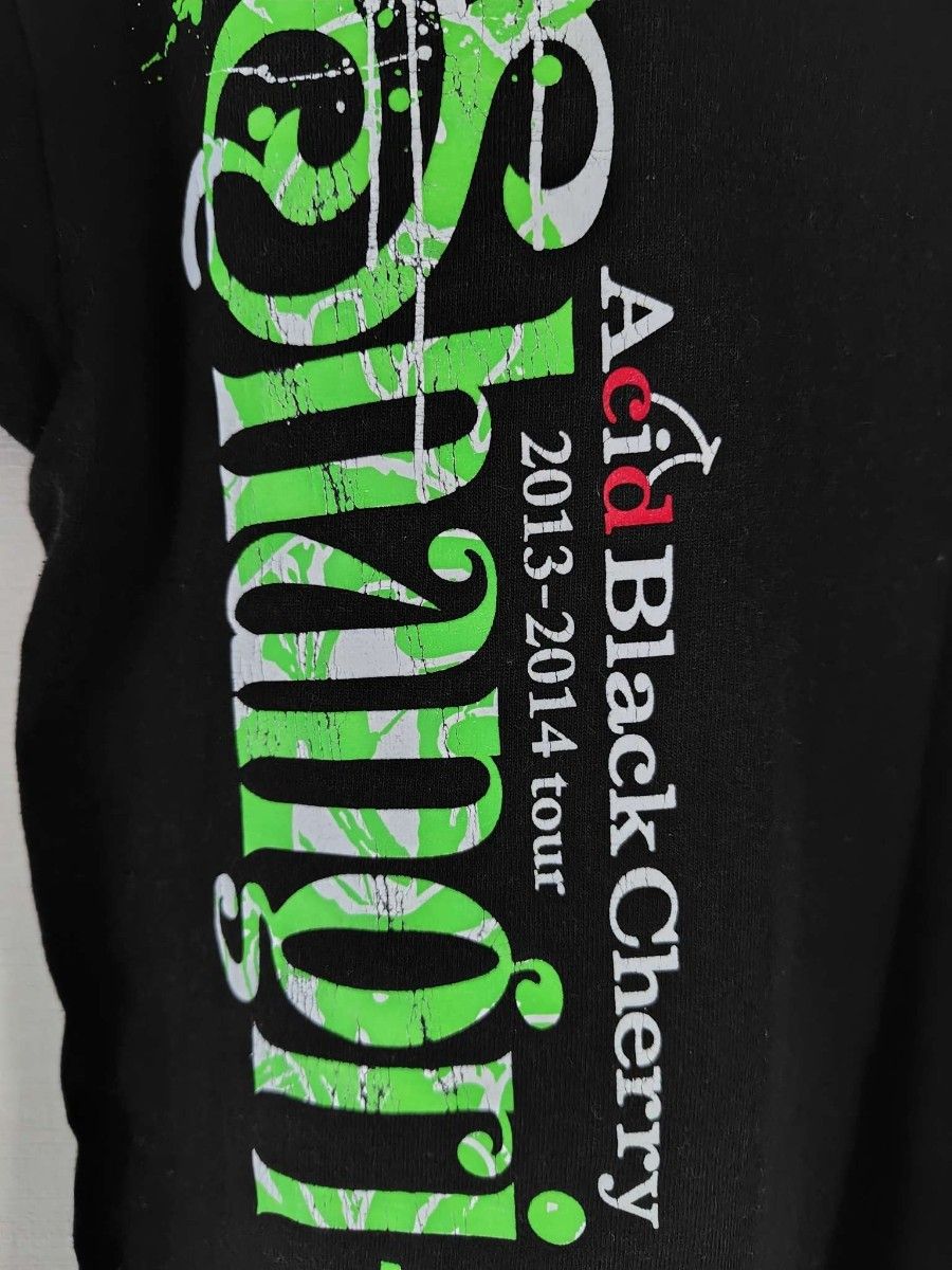 Acid Black Cherry tour Shangri-la ライブTシャツ メンズMサイズ