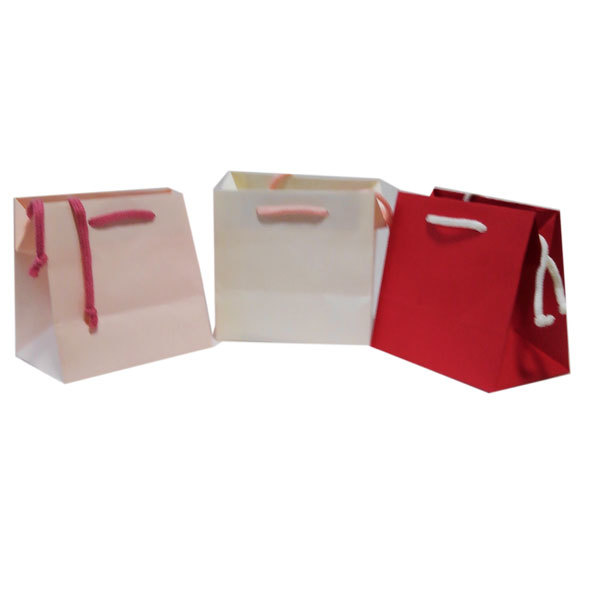 和紙タイプのプチ紙袋10枚（赤色）16ｘ15.5ｘ10ｃｍ_赤・ピンク・白の３色あり