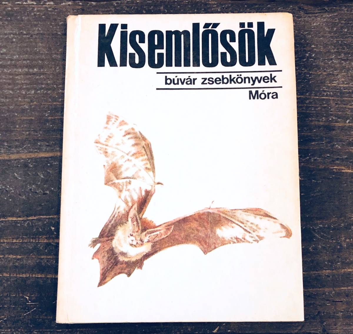 ヤフオク 動物の図鑑d コウモリ ハンガリー 1981年 ヤフオク 動物の図鑑d コウモリ ハンガリー 1981年