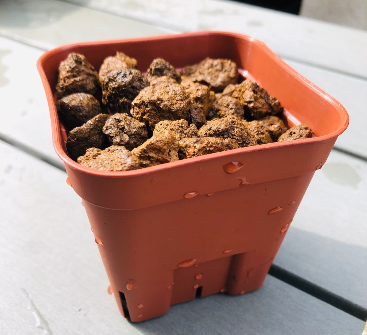 限定品 4セット メダカ飼育セット 麦飯石 大注目 Theeducationdoctor Com 限定品 4セット メダカ飼育セット 麦飯石 大注目 Theeducationdoctor Com
