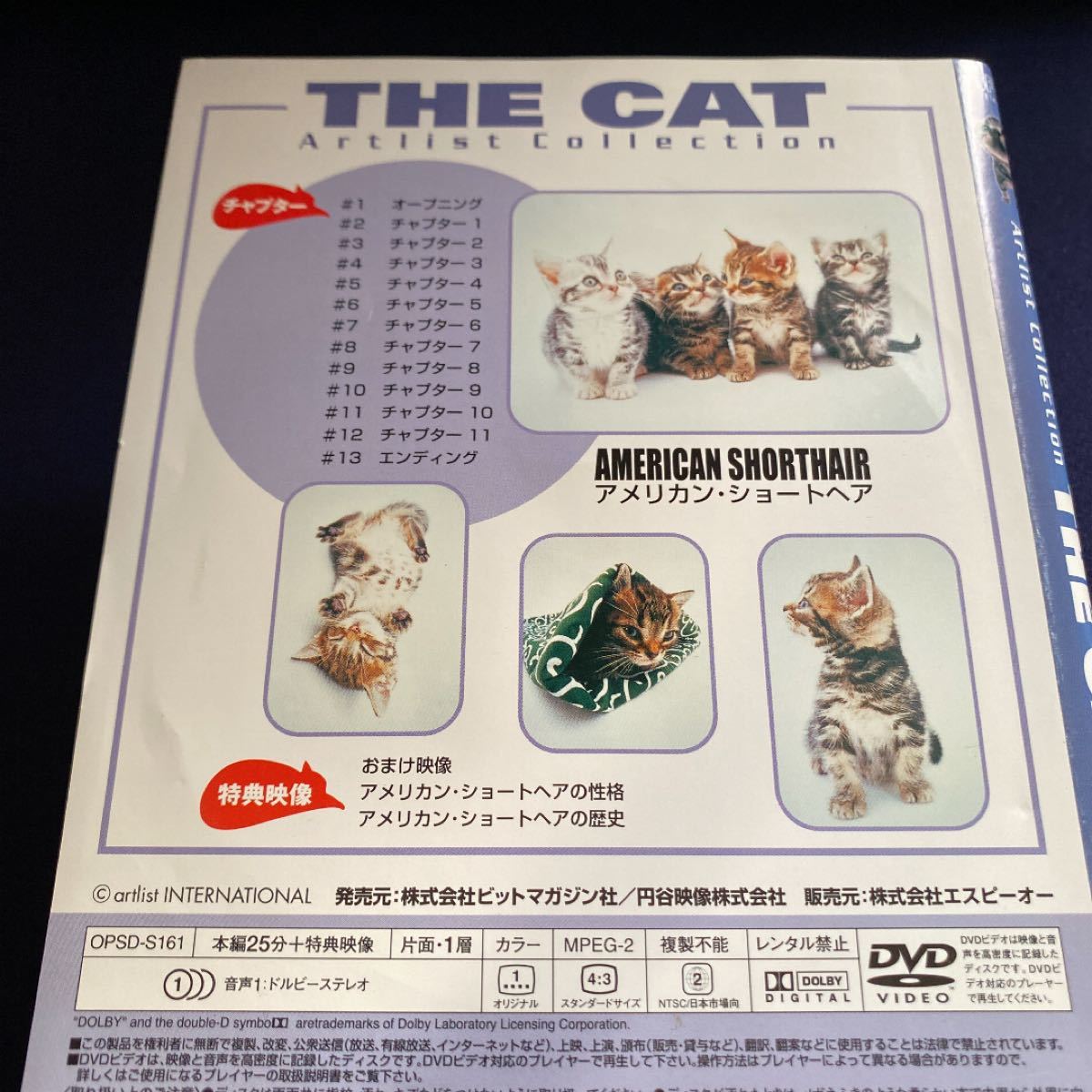 THE CAT アメリカン・ショートヘア DVD