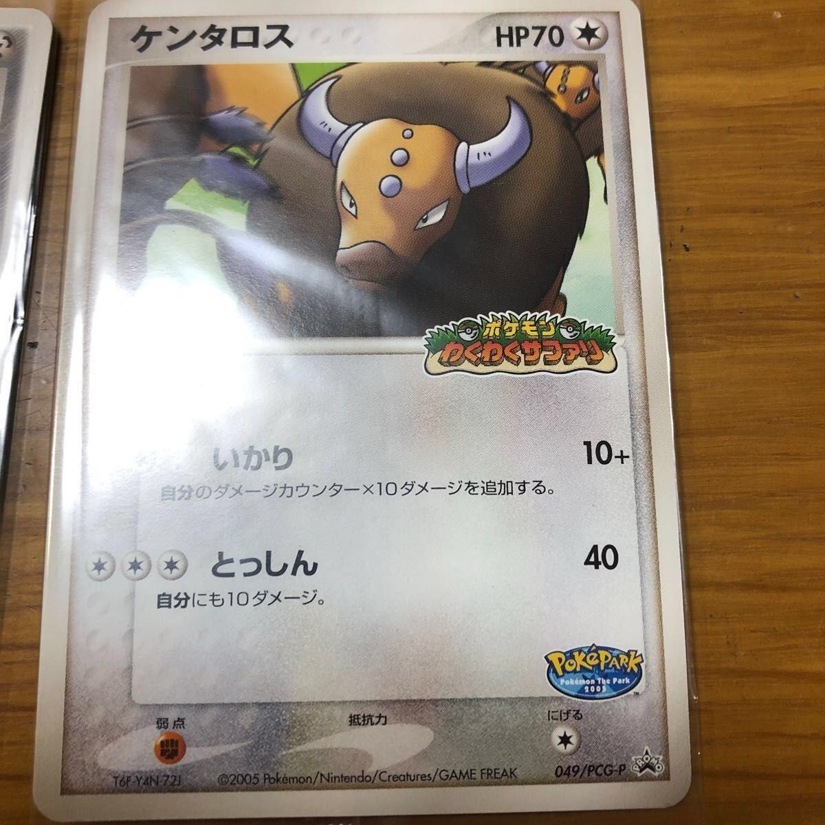 ポケパーク2005 名古屋 限定 ポケモンカード 5種類 セット ポケパーク