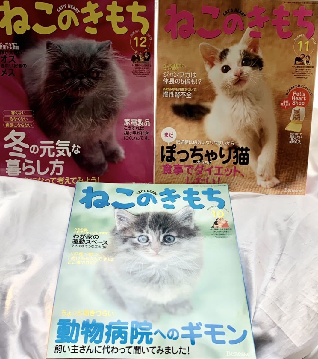 ねこのきもち3冊セット♪慢性腎不全 冬の元気な暮らし方 動物病院への疑問 ぽっちゃり猫ダイエット わが家の運動スペース_画像1