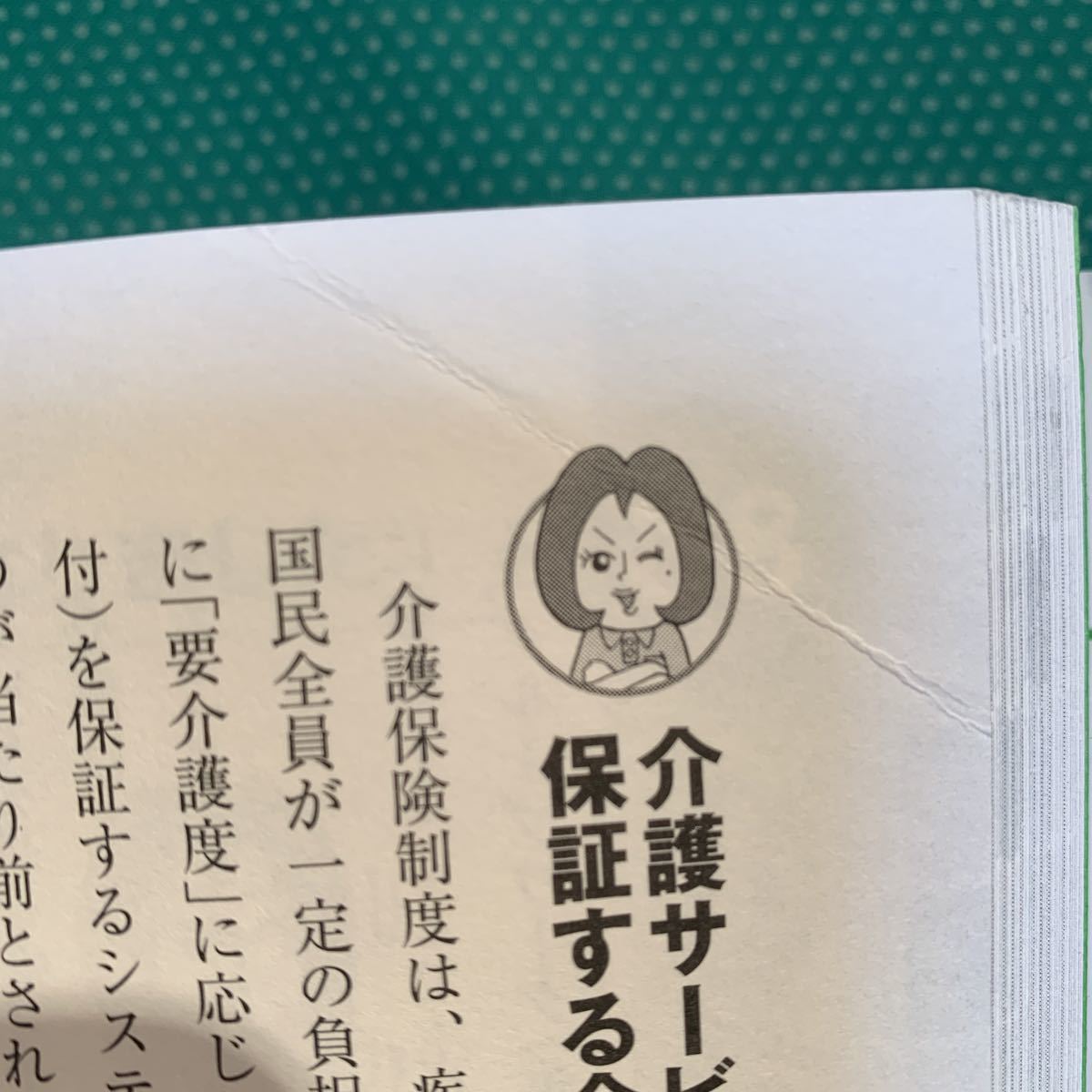 （即決）世界一わかりやすい介護・業界の「しくみ」と「ながれ」／イノウ編著／自由国民社_画像5