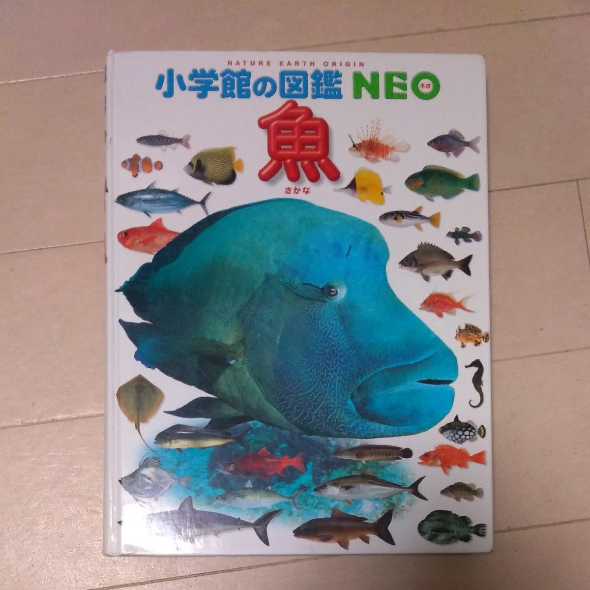 Paypayフリマ 小学館の図鑑neo 魚 Paypayフリマ 小学館の図鑑neo 魚