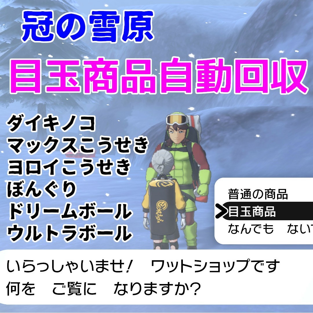 Paypayフリマ ポケモン剣盾 目玉商品 自動回収装置 マイコン 冠の雪原