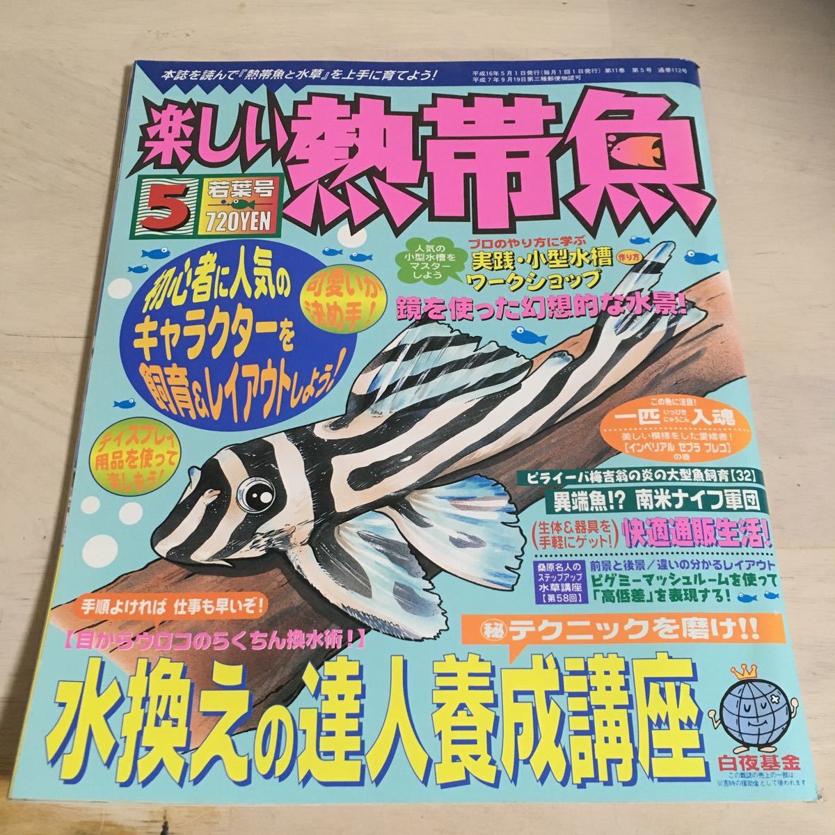 ヤフオク 楽しい熱帯魚 平成16年5月 04年 No 111 目から ヤフオク 楽しい熱帯魚 平成16年5月 04年 No 111 目から