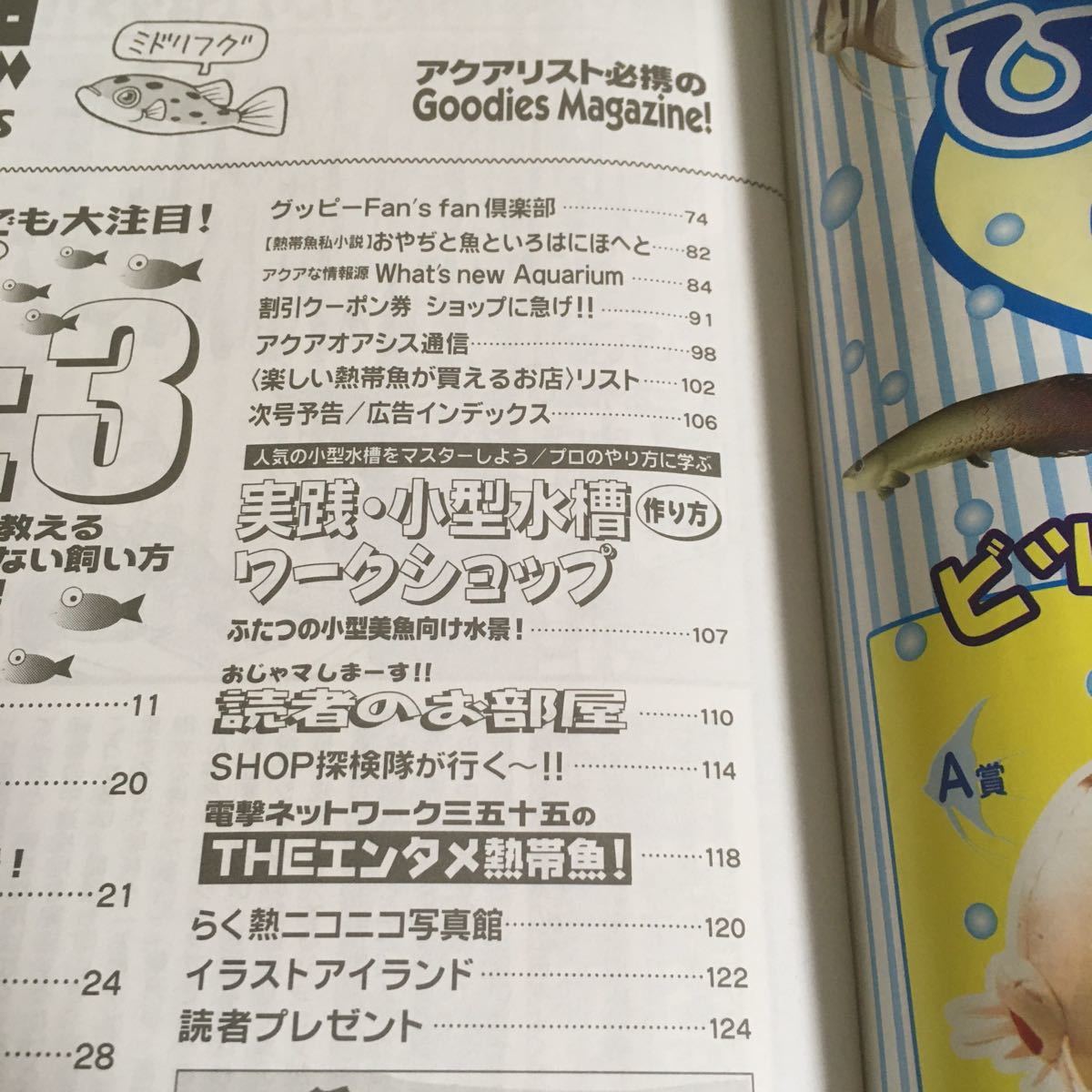 ヤフオク 楽しい熱帯魚 平成16年11月 04年 No 117 熱帯 ヤフオク 楽しい熱帯魚 平成16年11月 04年 No 117 熱帯