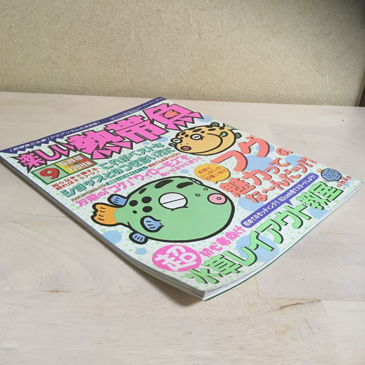 ヤフオク 楽しい熱帯魚 平成17年9月 05年 No 127 初めて ヤフオク 楽しい熱帯魚 平成17年9月 05年 No 127 初めて