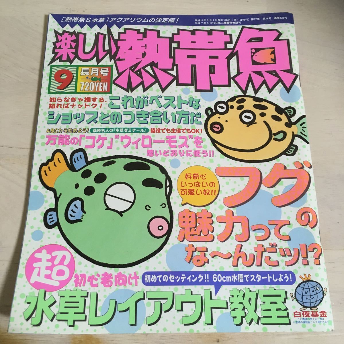 楽しい熱帯魚 平成17年9月 2005年 NO.127 初めてのセッティング 60㎝水槽でスタートしよう! 水草レイアウト教室　フグの魅力って (845)_画像1