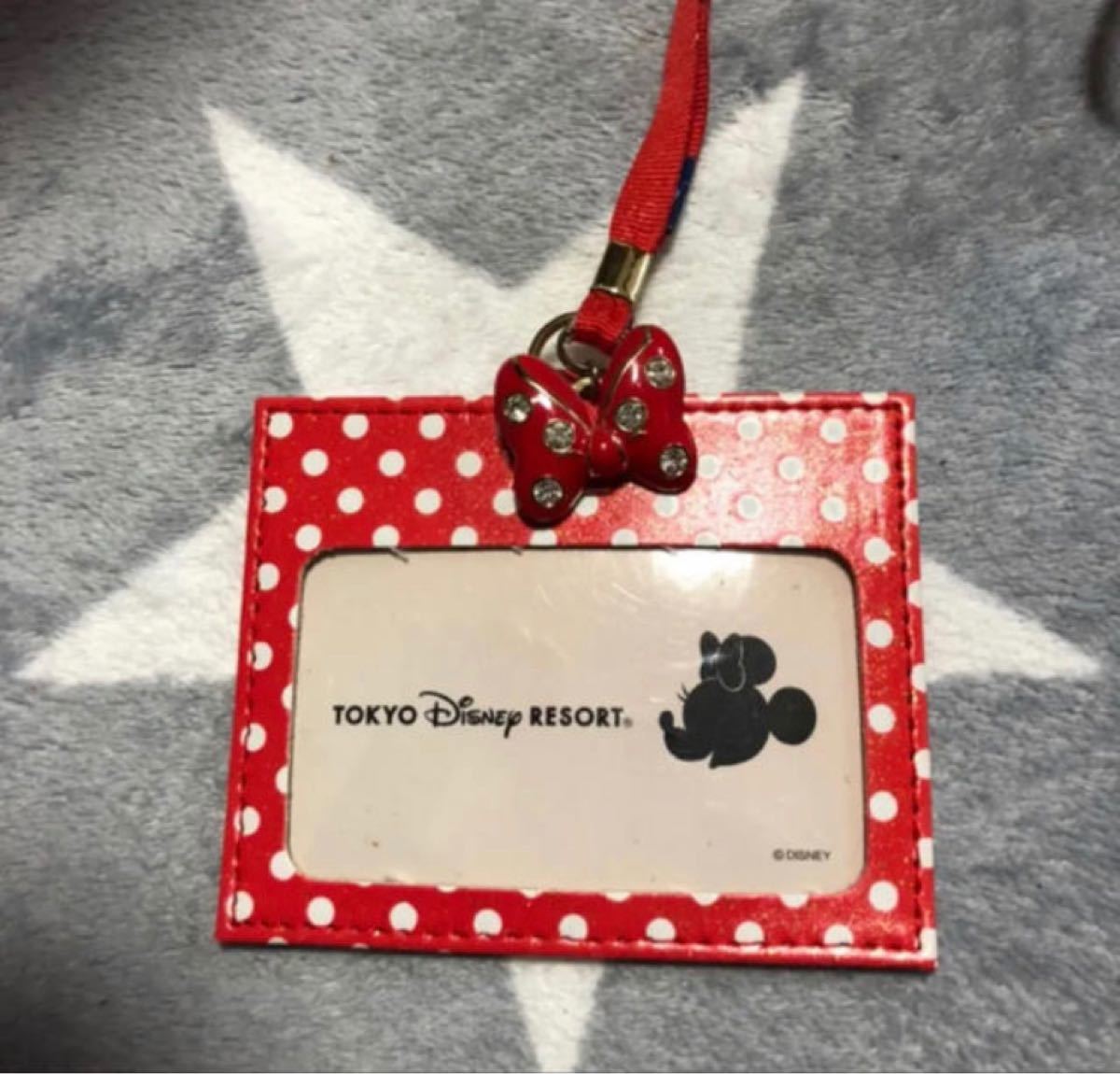 Disney ミニーマウス パスケース