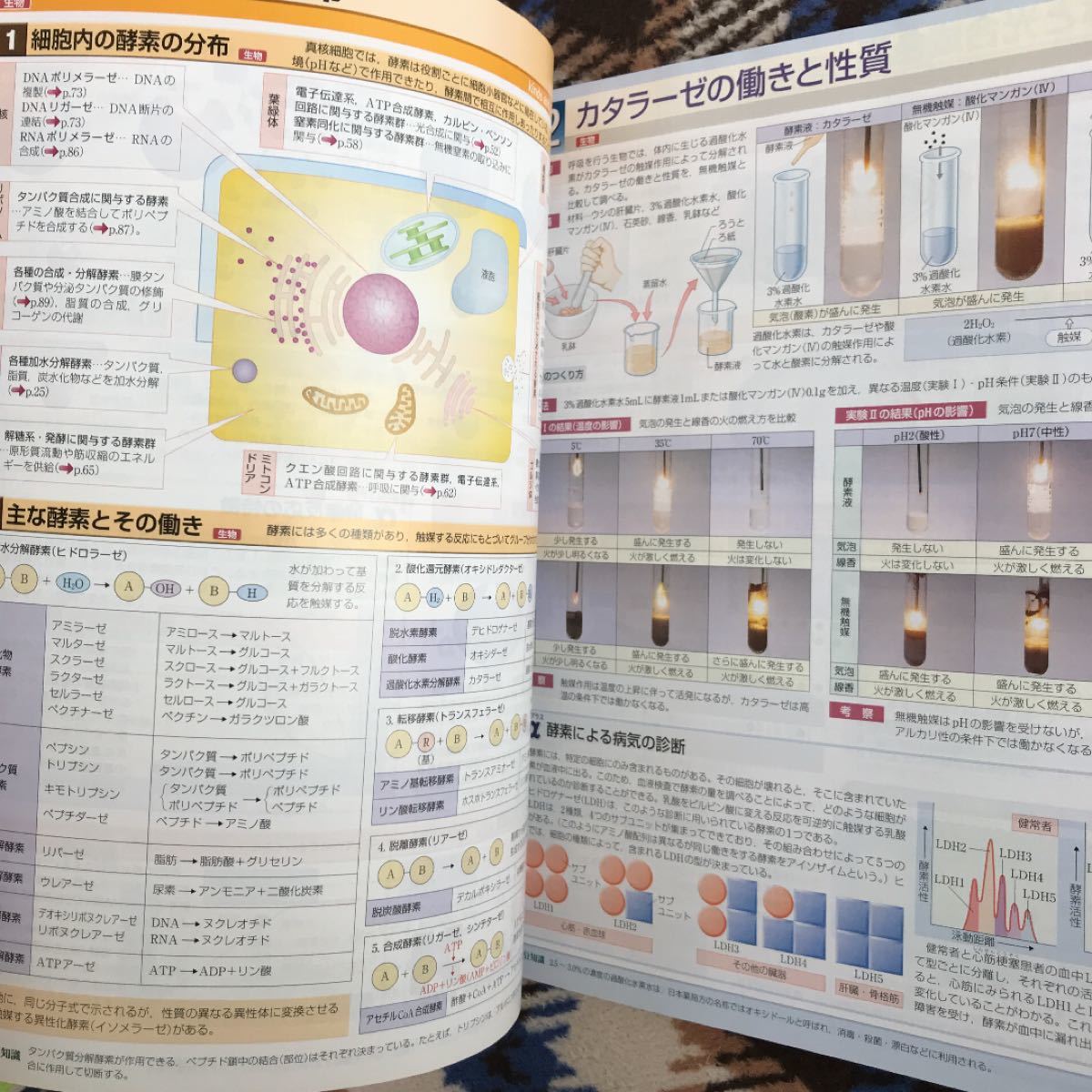 第一学習社　スクエア　最新図説生物 neo