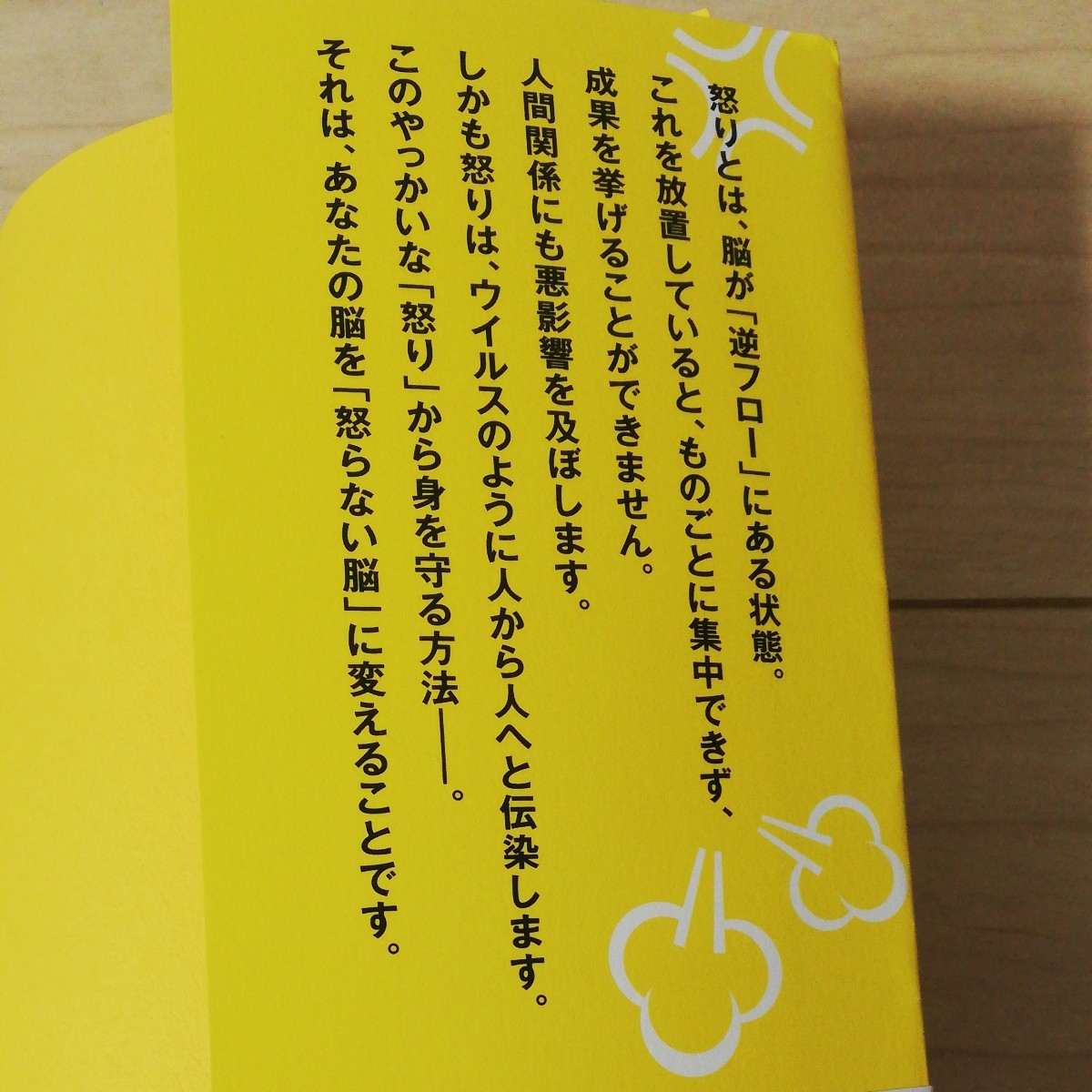 茂木健一郎 もうイライラしない! 怒らない脳 怒る自分