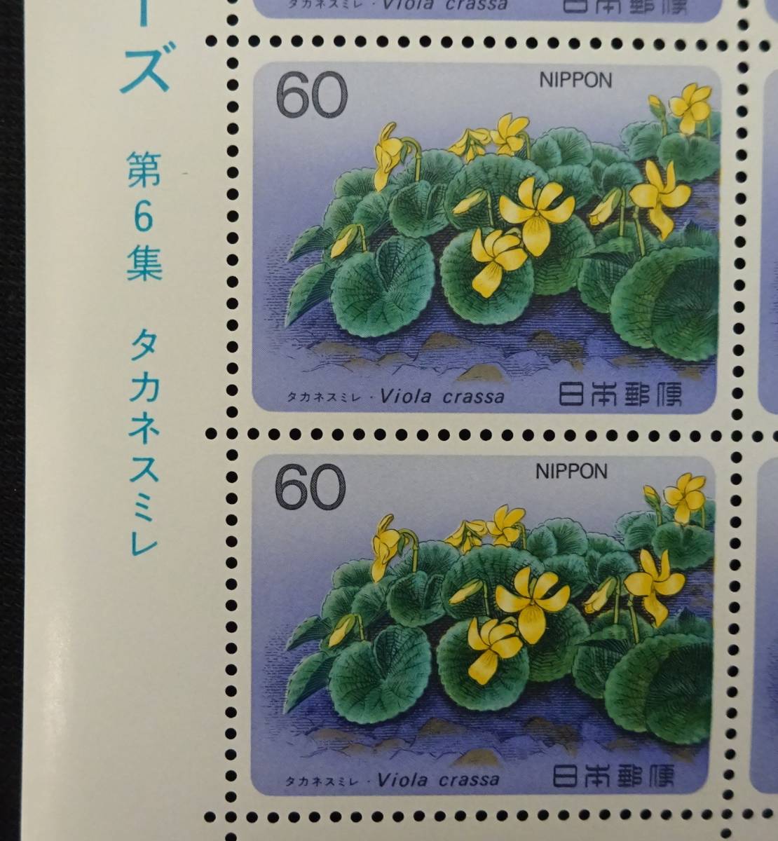 記念切手 高山植物シリーズ 第６集 タカネスミレ 1985年 昭和60年 60円20枚 シート 特殊切手 未使用 ランクAの画像2