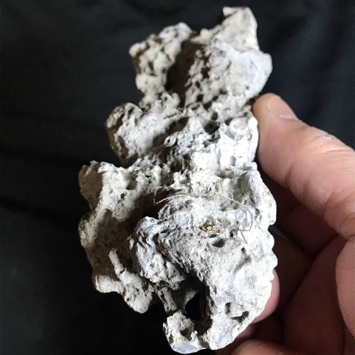 太湖石・183g（中国産鉱物標本）_画像5