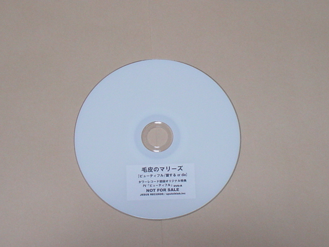 Yahoo!オークション - DVD:毛皮のマリーズ / Beautiful(タワーレコ...
